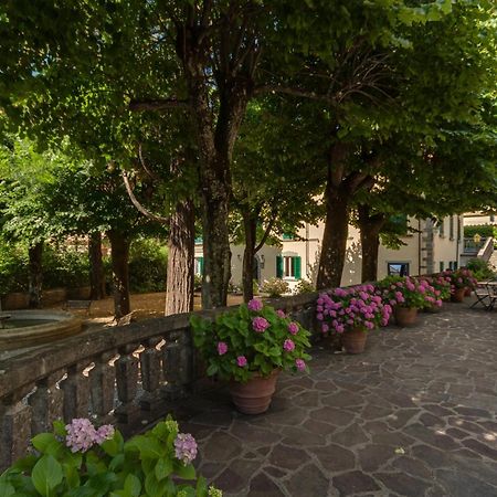 Giotto Park Hotel Bivigliano Exteriér fotografie